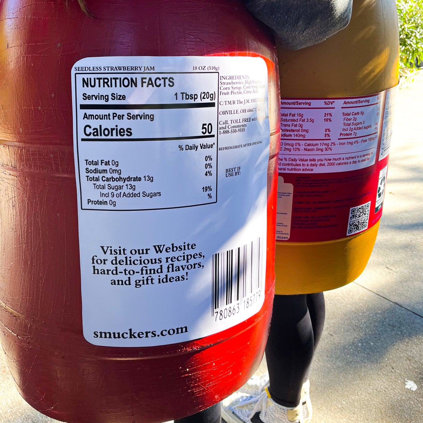 PB & J Halloween Costume Digital Downloads - PDF & PNG File Provided