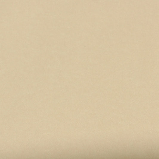 A single sheet of tan brown cardstock paper with a smooth finish.