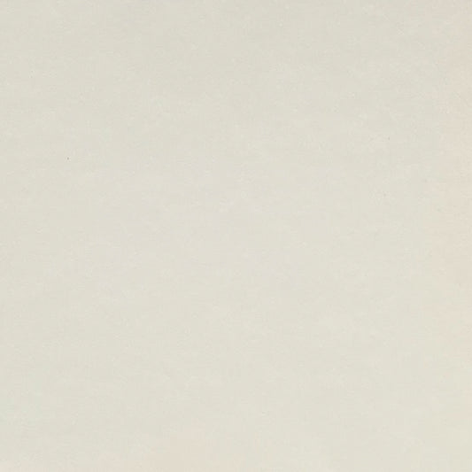 color swatch in ivory cardstock — high-quality, acid-free cardstock for crafting, printing, and scrapbookingivory white smooth plain cardstock