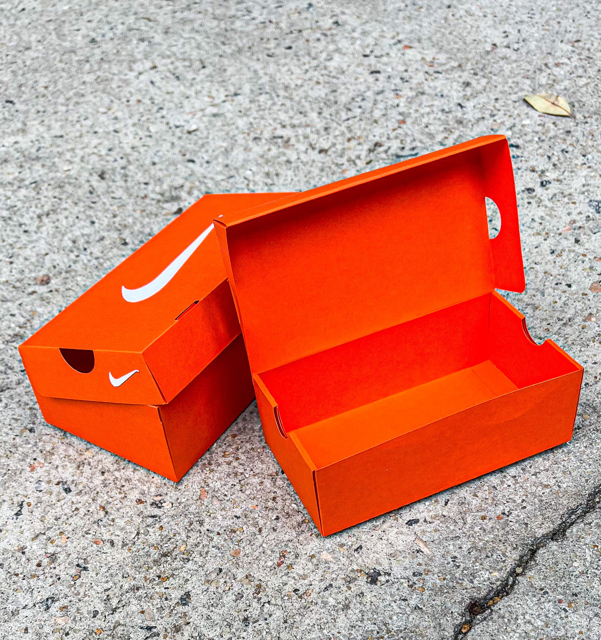 Nike Shoe Box