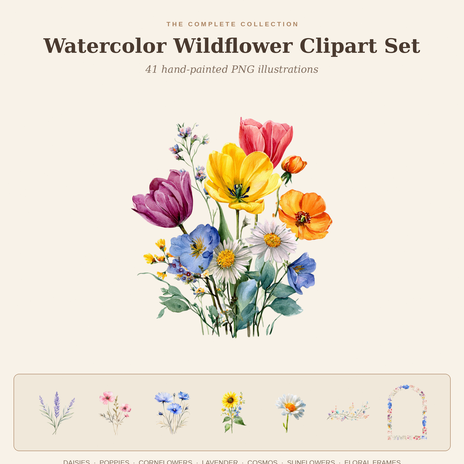 Watercolor wildflower clipart florals preview set