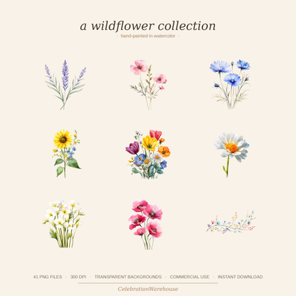 Watercolor wildflower clipart individual flower elements