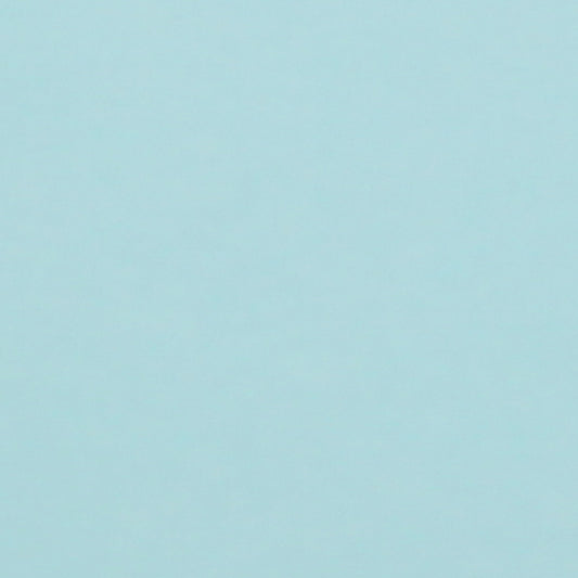 A single sheet of powder blue cardstock paper with a smooth finish.
