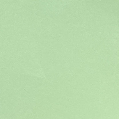 A single sheet of mint green cardstock with a smooth finish.